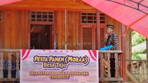 Desa Tojo Gelar Perayaan Pesta Panen “Moraa” Tahun 2023