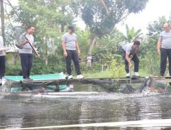 Dukung Ketahanan Pangan, Kapolda Gorontalo Hadiri Panen Lele