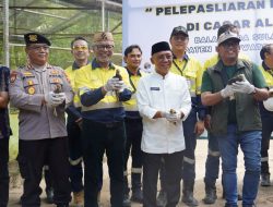 Terancam Punah, Merdeka Gold Resource Lakukan Pelestarian Burung Maleo