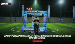 Mini Soccer
