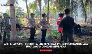 Lahan