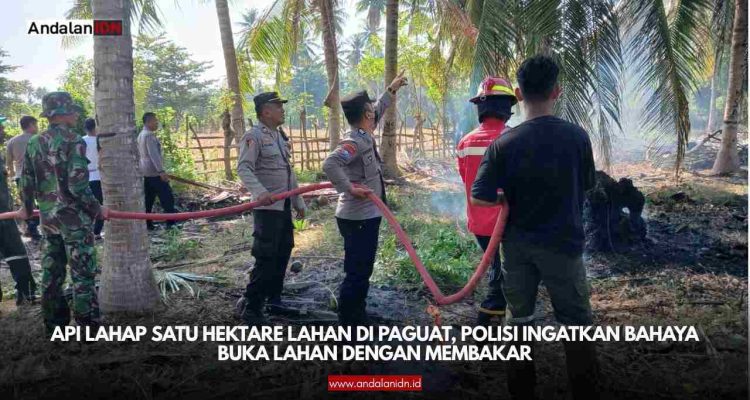 Lahan