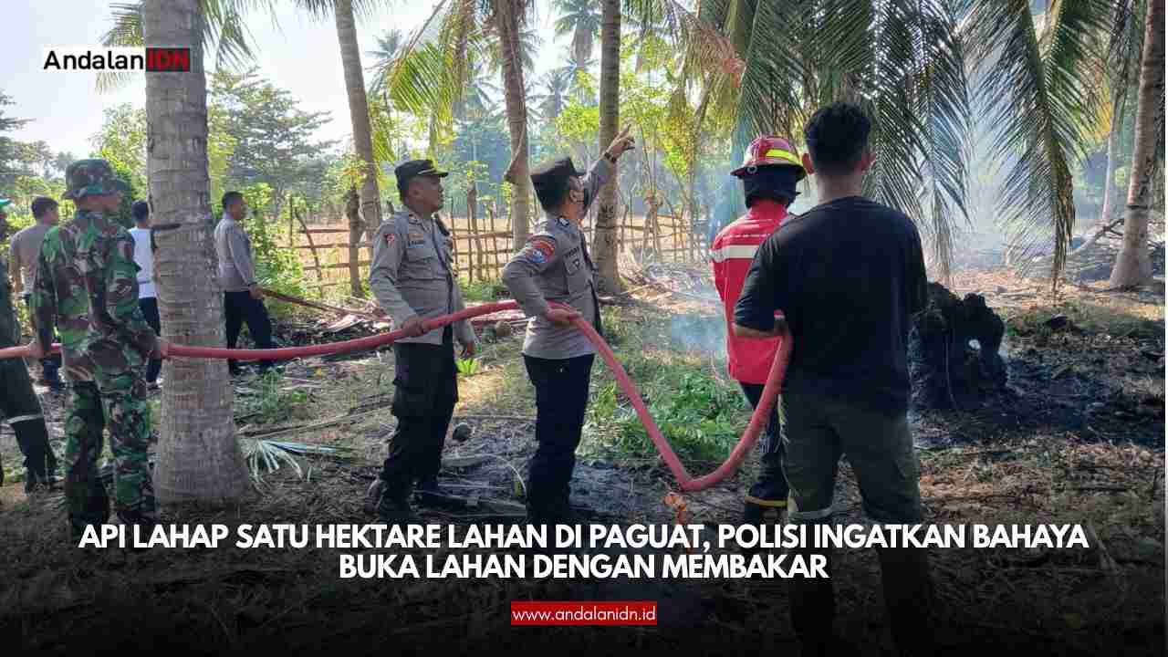 Lahan