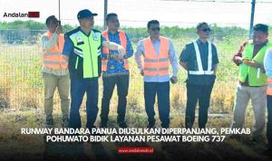 Bandara Panua