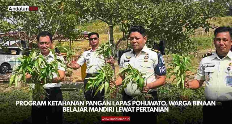 Ketahanan Pangan