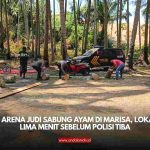 Sabung Ayam