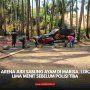 Sabung Ayam