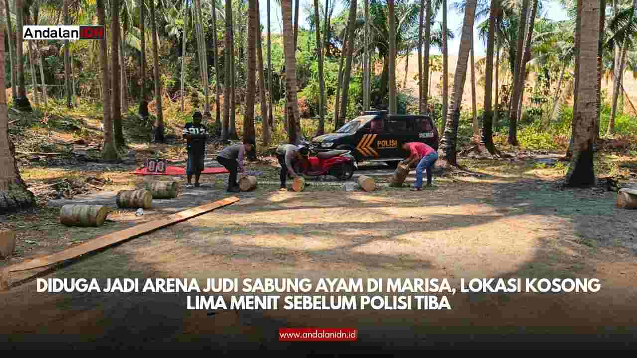 Sabung Ayam